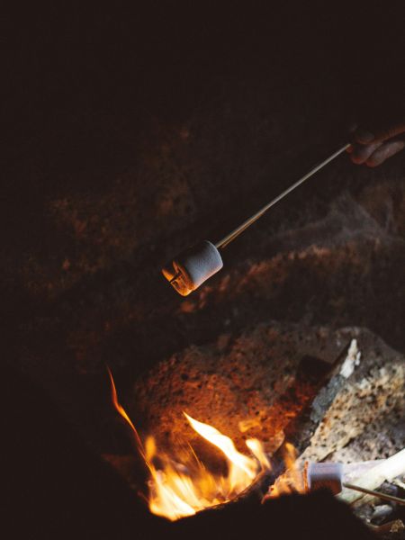 pexels-bianca-gasparoto-834990-1752951-small