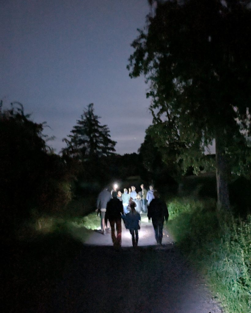 Nachtwanderung-01